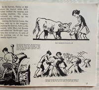 Image 6 of Country Holiday by Margaret Scott Brown & Leo P Dowd