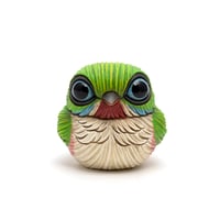 Image 3 of Chubby Bird: Cuban Tody