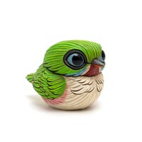 Image 4 of Chubby Bird: Cuban Tody