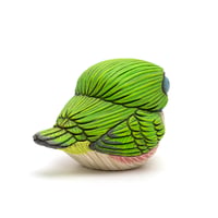 Image 5 of Chubby Bird: Cuban Tody