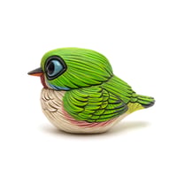 Image 1 of Chubby Bird: Cuban Tody
