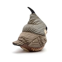 Image 5 of Chubby Bird: Mountain Quail