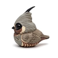 Image 1 of Chubby Bird: Mountain Quail