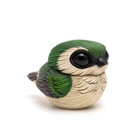 Image 4 of Chubby Bird: Violet-Green Swallow