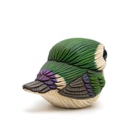Image 5 of Chubby Bird: Violet-Green Swallow