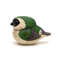 Image 1 of Chubby Bird: Violet-Green Swallow
