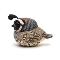 Image 1 of Chubby Bird: California Quail