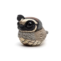Image 2 of Chubby Bird: California Quail