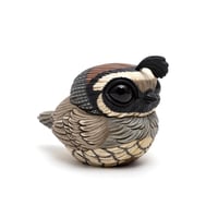 Image 4 of Chubby Bird: California Quail