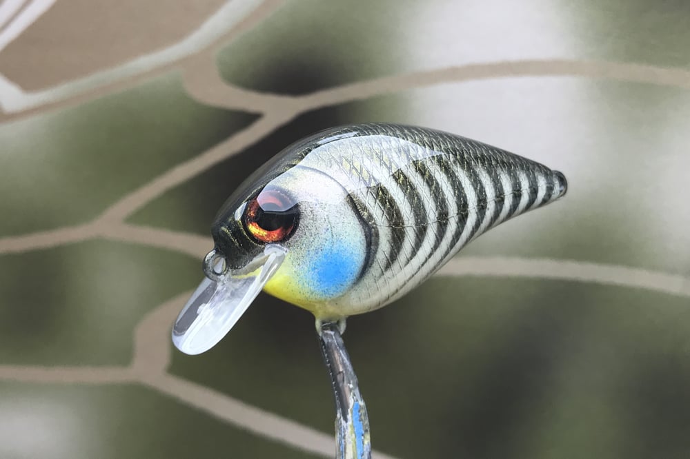 SPEEDBAITS Custom Airbrushed BFS Crankbait 8511