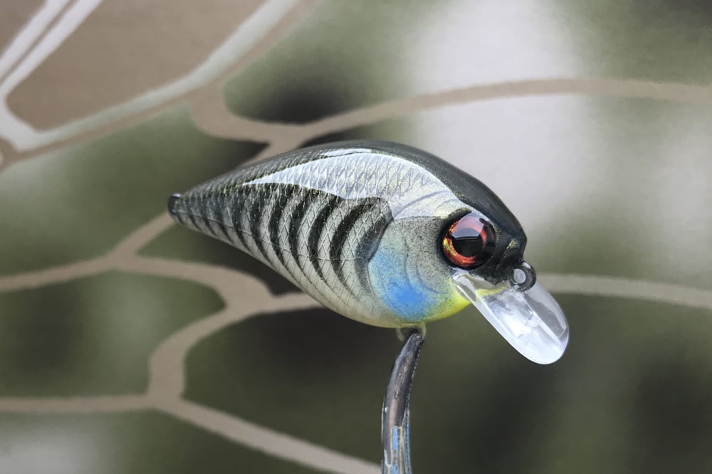 SPEEDBAITS Custom Airbrushed BFS Crankbait 8511 - Image 2