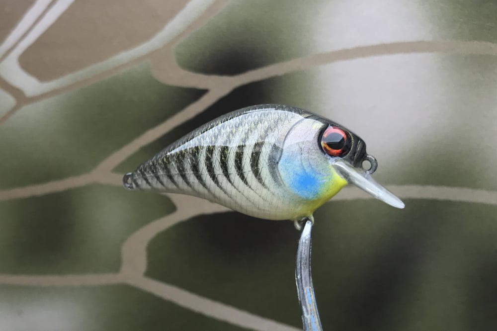 SPEEDBAITS Custom Airbrushed BFS Crankbait 8511 - Image 4