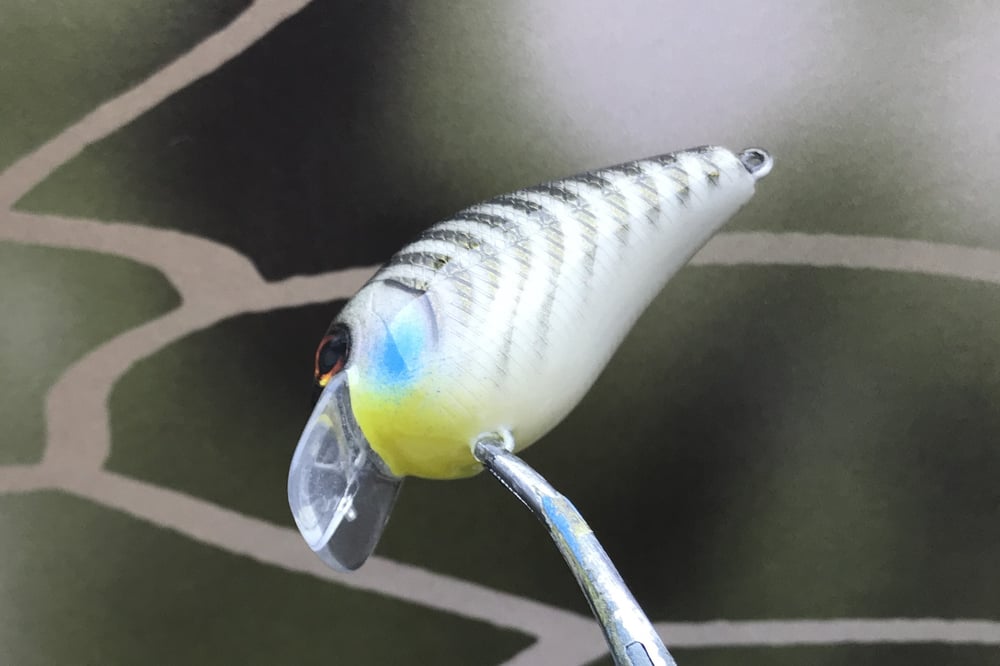 SPEEDBAITS Custom Airbrushed BFS Crankbait 8511 - Image 3