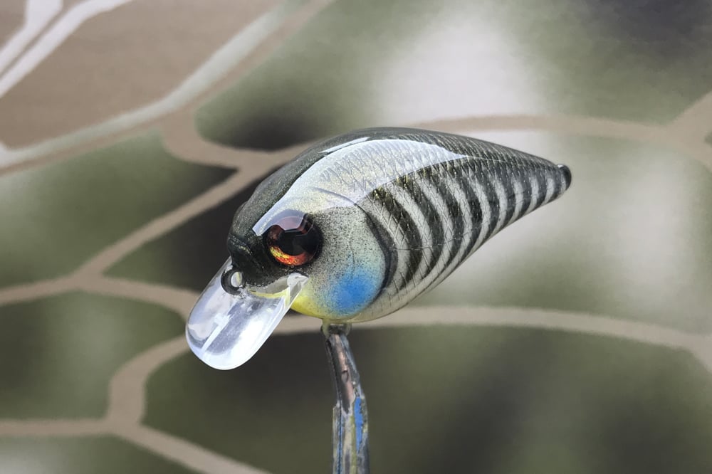 SPEEDBAITS Custom Airbrushed BFS Crankbait 8511 - Image 5