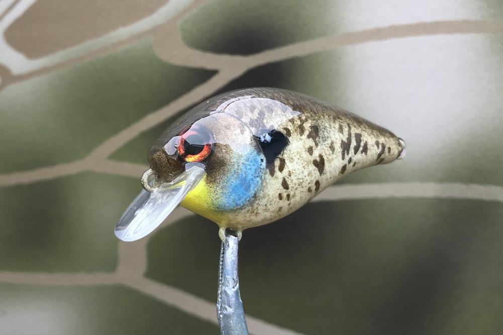 SPEEDBAITS Custom Airbrushed BFS Crankbait 8526