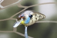 Image 1 of SPEEDBAITS Custom Airbrushed BFS Crankbait 8526