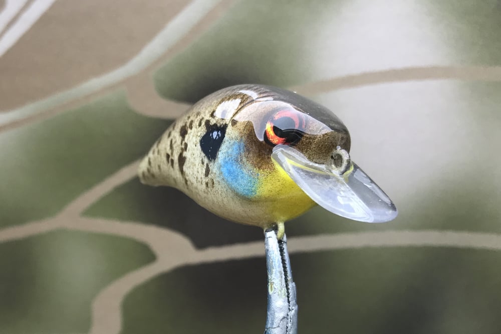 SPEEDBAITS Custom Airbrushed BFS Crankbait 8526 - Image 2