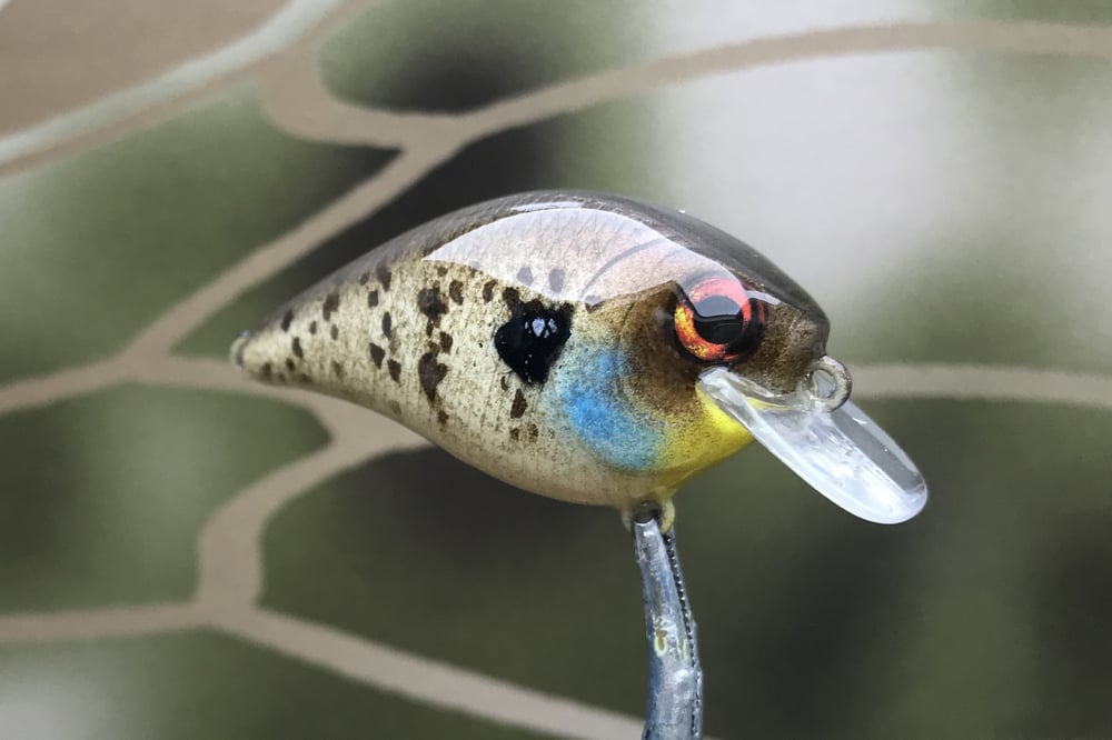 SPEEDBAITS Custom Airbrushed BFS Crankbait 8526 - Image 4
