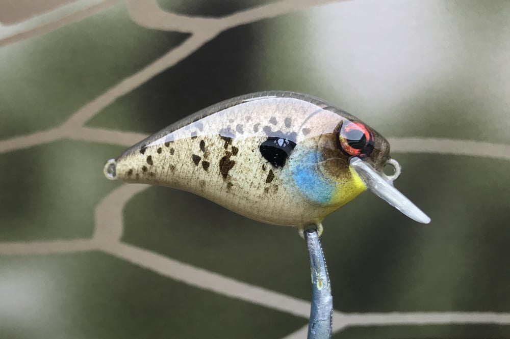 SPEEDBAITS Custom Airbrushed BFS Crankbait 8526 - Image 5