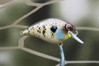 Image 5 of SPEEDBAITS Custom Airbrushed BFS Crankbait 8526
