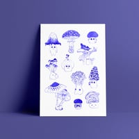 Image 2 of Champimignons