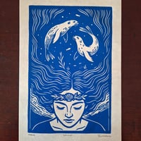 The Selkie