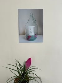 Image 3 of Ti Amo Message In A Bottle