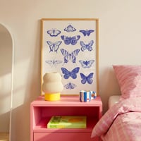 Image 1 of La collection de papillons