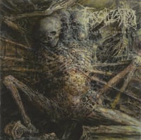 Fossilization ‎ "Advent Of Wounds" CD