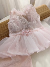 Image 2 of Photo prop | Newborn girl set | Betsy | baby pink