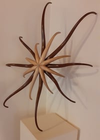 Image 1 of La Créature - Chêne & Frêne