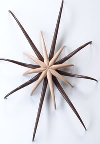 Image 3 of La Créature - Chêne & Frêne