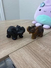 Christieledford BASKET