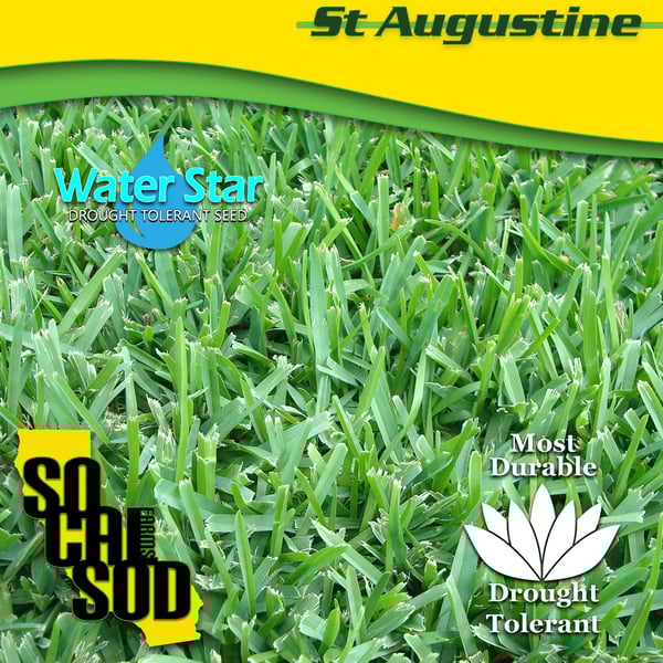 Image of SUNCLIPSE ST AUGUSTINE - *CALL FOR AVAILABILITY - AREA RESTRICTED