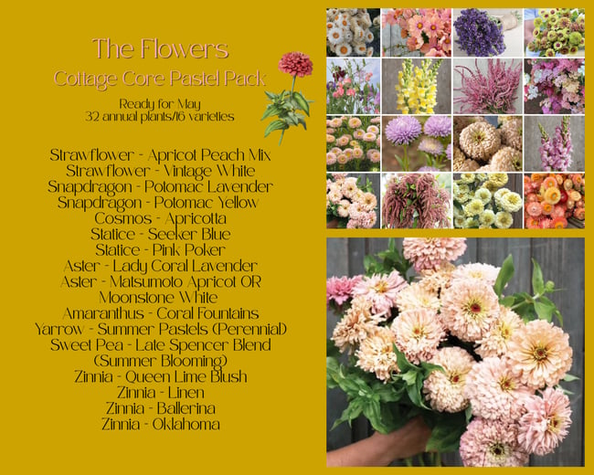 GARDEN CLUB FLOWER PACK COTTAGE CORE PASTELS
