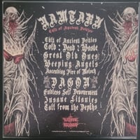Image 2 of Namtaru - Cult of Ancient Dieties - LP