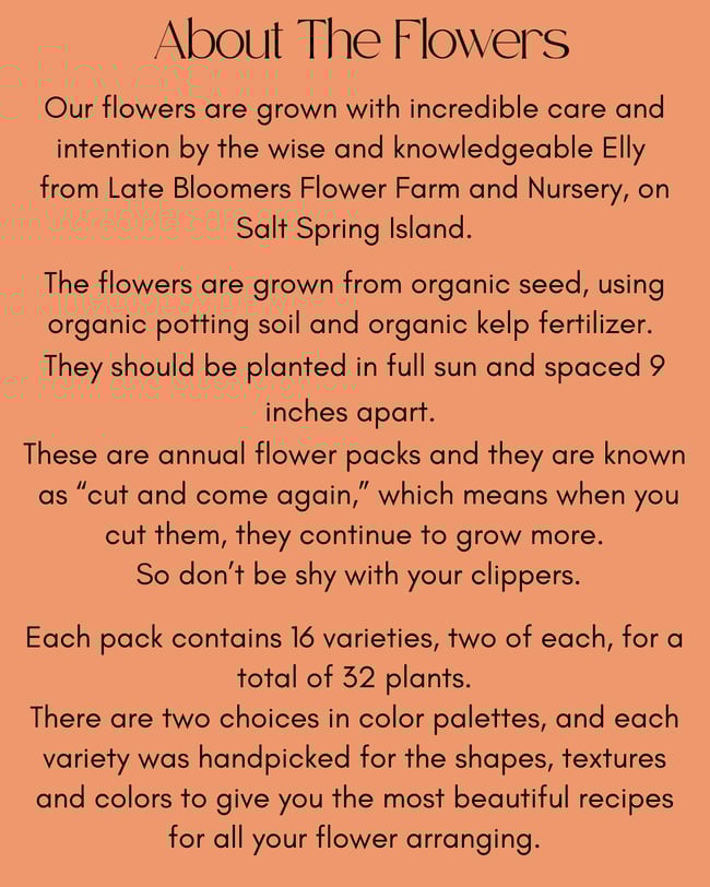 GARDEN CLUB FLOWER PACK FLOWERBURST VIBRANT