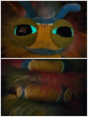 Fuzzy Wuzzy Caterpillar Hatchling!! ☆With Glow In The Dark Features!☆