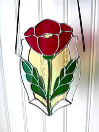 Image 1 of Pink Poppy 