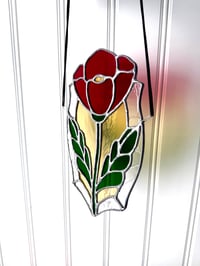 Image 2 of Pink Poppy 