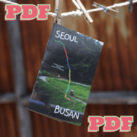 Image 1 of *Digital* Seoul to Busan Zine