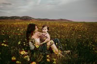 Image 1 of 2026 Wildflower Session RETAINER 