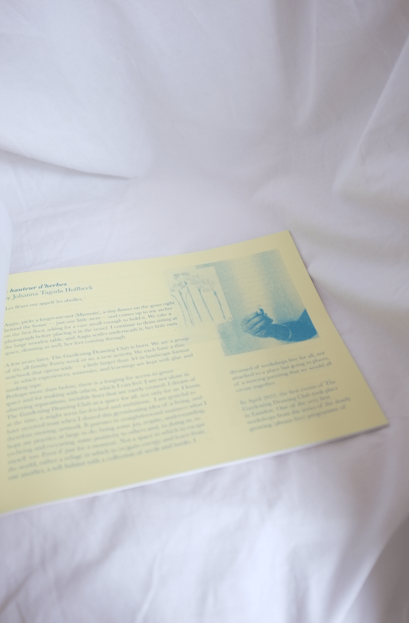 <span style="color: #f4cccc;"> NEW</span> (ALMOST) IKEBANA - The Gardening Drawing Club