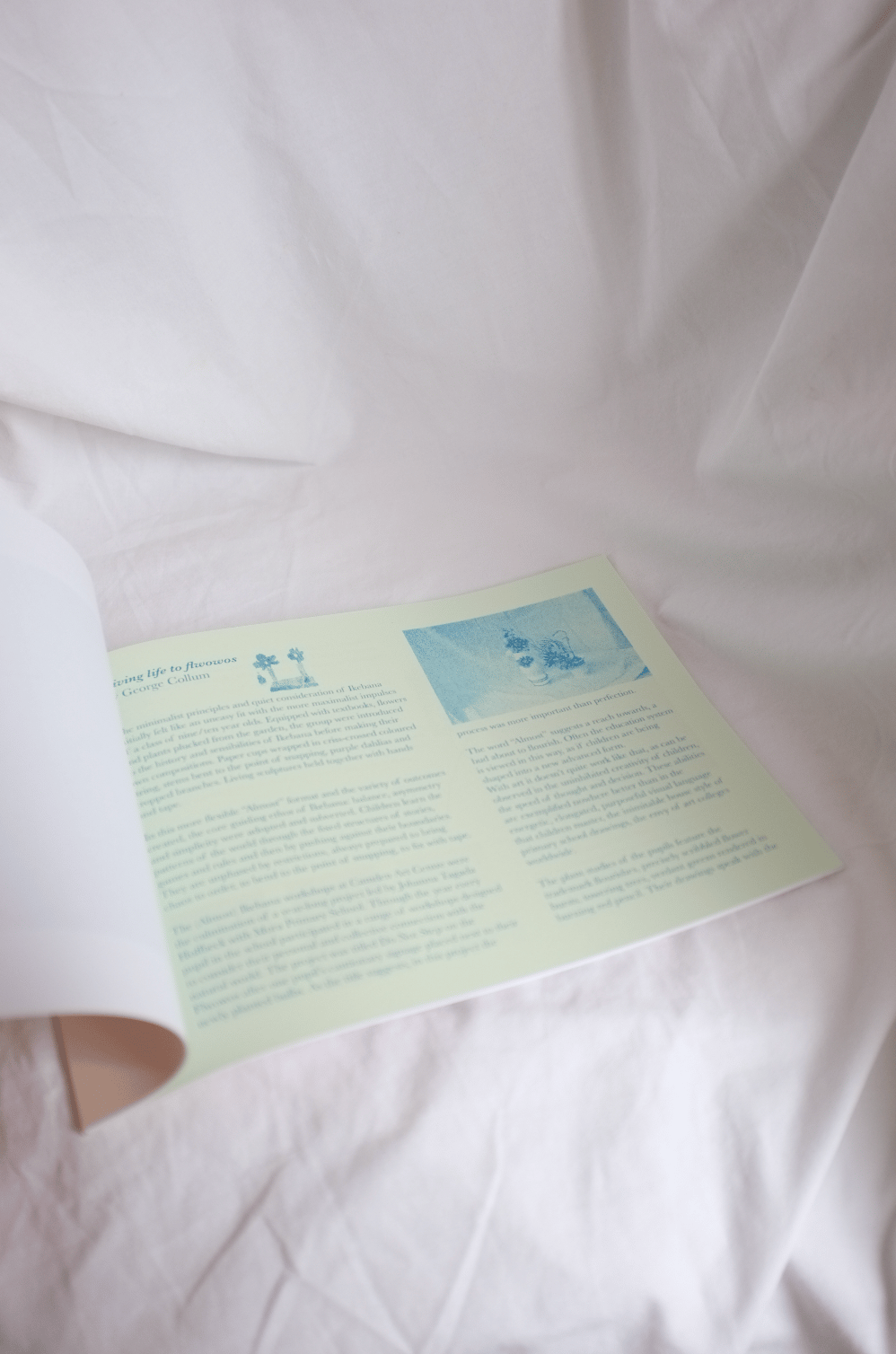 <span style="color: #f4cccc;"> NEW</span> (ALMOST) IKEBANA - The Gardening Drawing Club