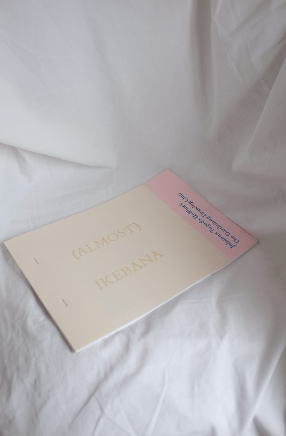 <span style="color: #f4cccc;"> NEW</span> (ALMOST) IKEBANA - The Gardening Drawing Club