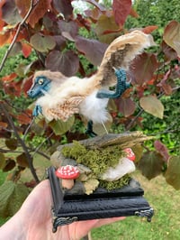 Image 3 of Taxidermy-Style Raptor Dinosaur Chick with Diorama