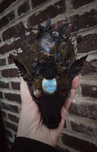 Image 1 of Memento Mori vi 