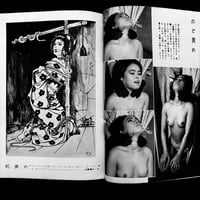 Image 15 of Fuzoku Kitan 1960 #6