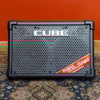 Roland Cube Street 2 | Portable Battery Amplifier