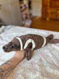 Image 1 of Ribbon Seal Plush